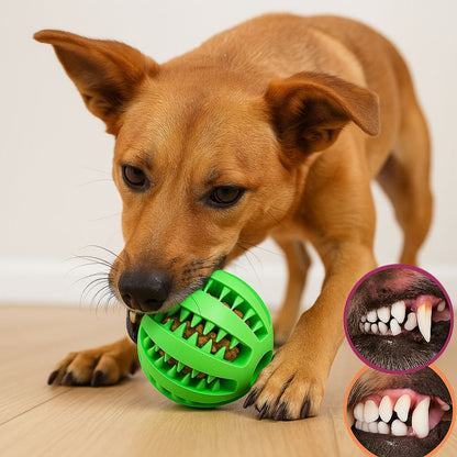 Pelota Mordedora Para Perros Con Dispensador De Comida